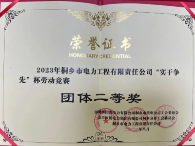 喜報-我司榮獲2023年“實(shí)干爭先”杯配網(wǎng)工程技能競賽團(tuán)體二等獎